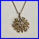 ANTIQUE-9ct-GOLD-VICTORIAN-SEED-PEARL-STAR-PENDANT-9k-375-Chain-Necklace-1880c-01-eqaq